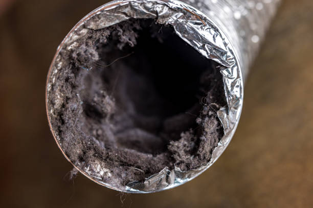 Best Affordable Air Duct Cleaning  in University Of Virginia, VA